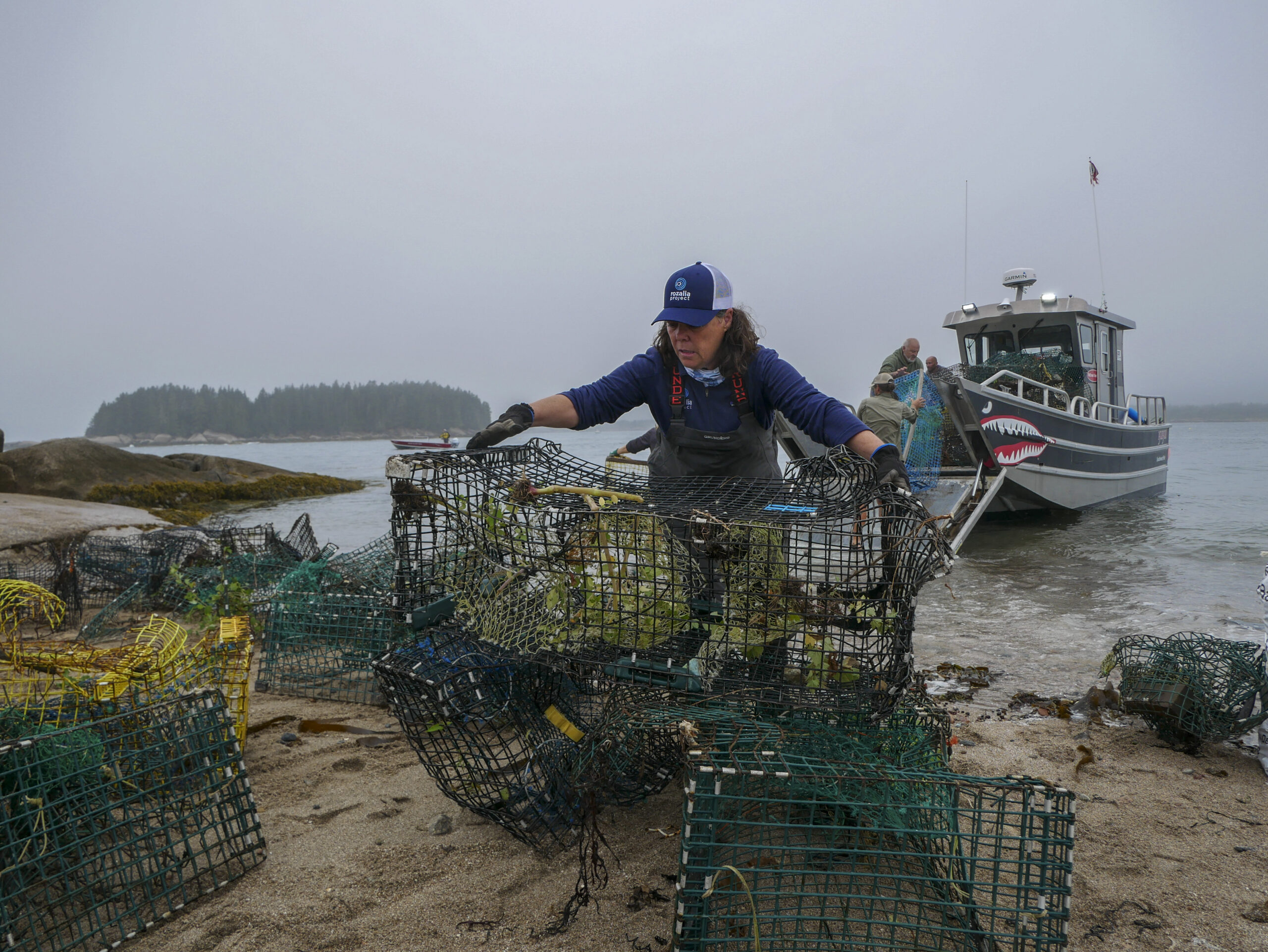 Ashley Sullivan Photo for SmartRec