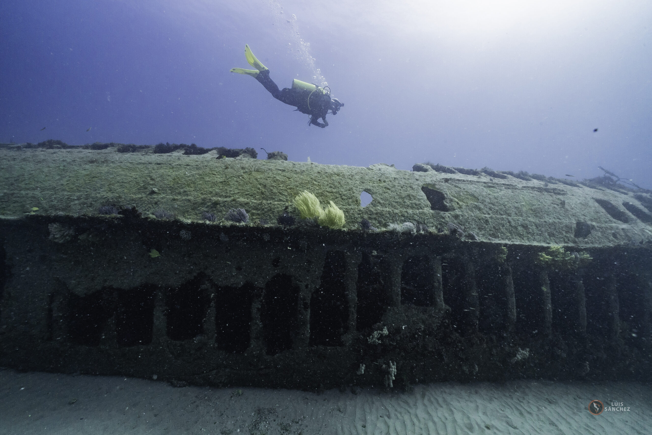 Miguel Photo for SmartRec