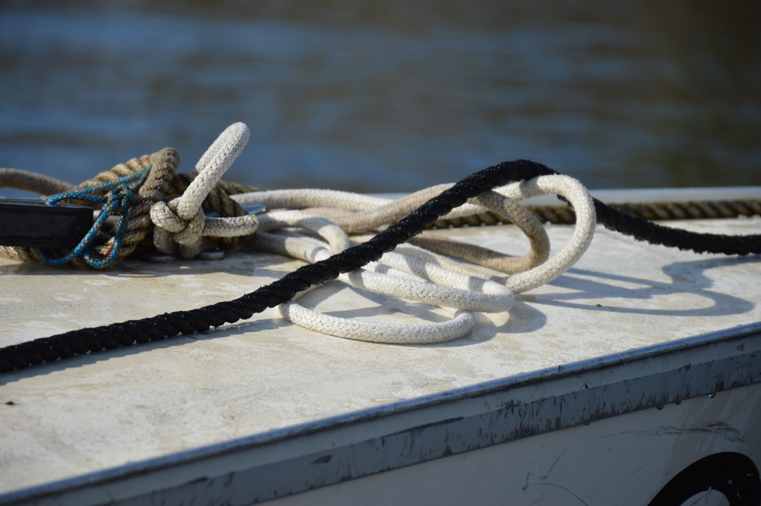 DSC_0339 (2)